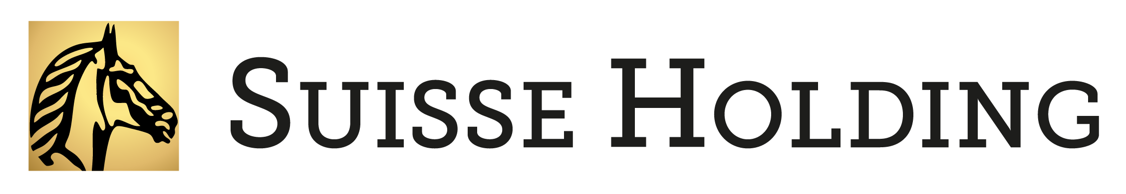 SUISSE_HOLDINGS_LOGO-01.png