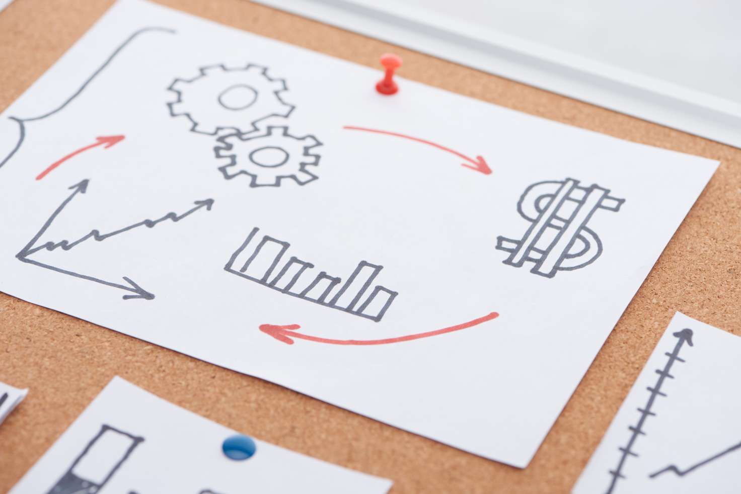 Paper Card With Diagrams, Dollar Sign And Gearwheel Drawing Pinned on Cork Office Board